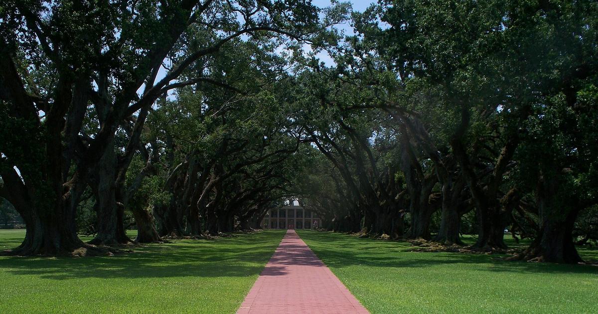 Louisiana plantation oak alley